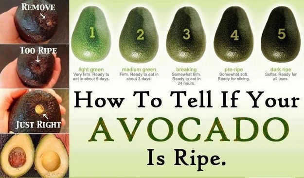 How To Tell If Your Avocado Is Ripe Check Skin Color And Feel Gently Squeeze For Firmness Enjoying Perfect Avocados For Your Dishes.